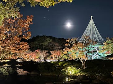 国営昭和記念公園 秋の夜散歩に投稿された画像（2024/11/17）