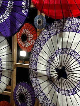 国営昭和記念公園 秋の夜散歩に投稿された画像（2024/11/17）