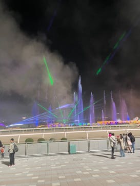 東京メガイルミに投稿された画像（2024/11/17）