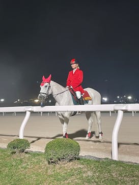 東京メガイルミに投稿された画像（2024/11/17）