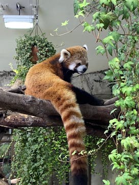 那須どうぶつ王国に投稿された画像（2024/11/17）