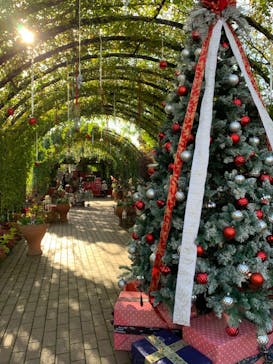 横浜イングリッシュガーデンに投稿された画像（2024/11/17）