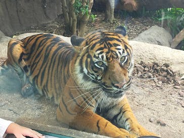 神戸どうぶつ王国に投稿された画像（2024/11/17）