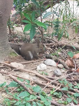 神戸どうぶつ王国に投稿された画像（2024/11/17）