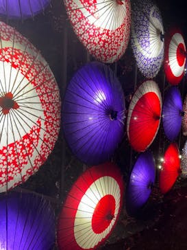 国営昭和記念公園 秋の夜散歩に投稿された画像（2024/11/17）