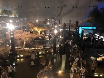 福井県立恐竜博物館に投稿された画像（2024/11/17）