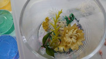 ずこうしつ〜sugamo〜に投稿された画像（2024/11/17）