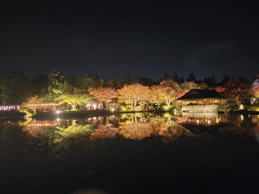 国営昭和記念公園 秋の夜散歩に投稿された画像（2024/11/17）
