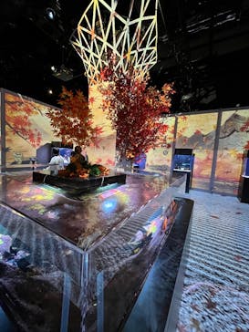 マクセル アクアパーク品川に投稿された画像（2024/11/17）