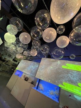 マクセル アクアパーク品川に投稿された画像（2024/11/17）