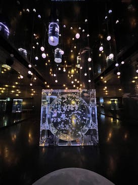 マクセル アクアパーク品川に投稿された画像（2024/11/17）