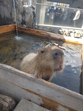 那須どうぶつ王国に投稿された画像（2024/11/17）