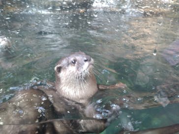 那須どうぶつ王国に投稿された画像（2024/11/17）