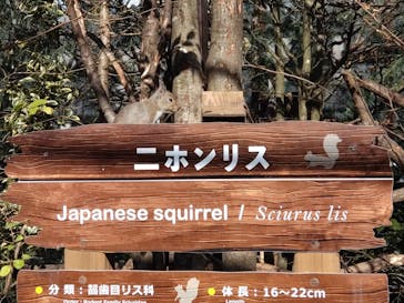 那須どうぶつ王国に投稿された画像（2024/11/17）