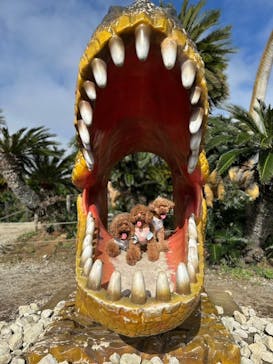 伊豆ぐらんぱる公園に投稿された画像（2024/11/17）