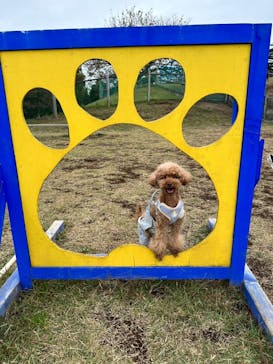 伊豆ぐらんぱる公園に投稿された画像（2024/11/17）