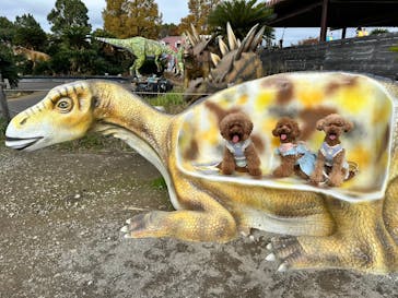 伊豆ぐらんぱる公園に投稿された画像（2024/11/17）