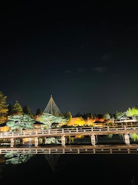 国営昭和記念公園 秋の夜散歩に投稿された画像（2024/11/17）