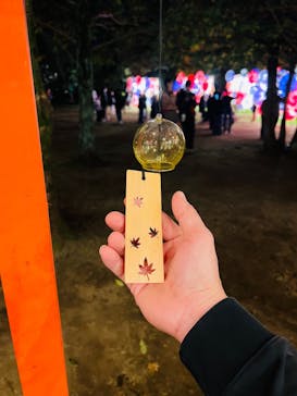 国営昭和記念公園 秋の夜散歩に投稿された画像（2024/11/17）