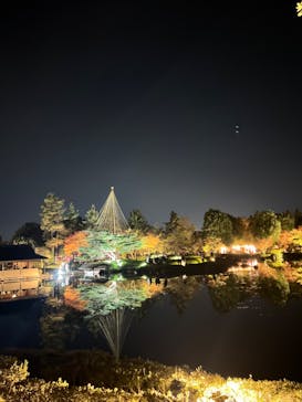 国営昭和記念公園 秋の夜散歩に投稿された画像（2024/11/17）