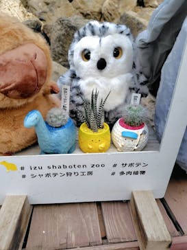 伊豆シャボテン動物公園に投稿された画像（2024/11/17）