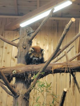 伊豆シャボテン動物公園に投稿された画像（2024/11/17）