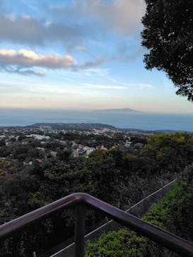 伊豆シャボテン動物公園に投稿された画像（2024/11/17）