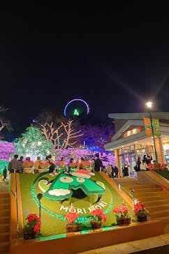 さがみ湖MORI MORIに投稿された画像（2024/11/17）