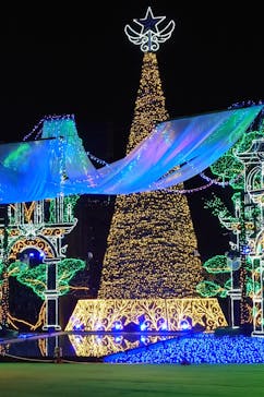 さがみ湖MORI MORIに投稿された画像（2024/11/17）