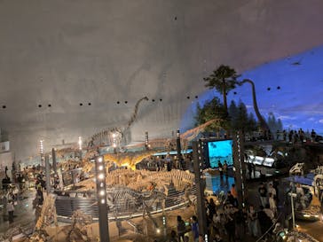 福井県立恐竜博物館に投稿された画像（2024/11/17）