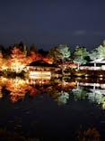 国営昭和記念公園 秋の夜散歩に投稿された画像（2024/11/17）