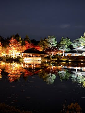 国営昭和記念公園 秋の夜散歩に投稿された画像（2024/11/17）