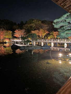 国営昭和記念公園 秋の夜散歩に投稿された画像（2024/11/17）