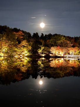国営昭和記念公園 秋の夜散歩に投稿された画像（2024/11/17）