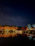 国営昭和記念公園 秋の夜散歩に投稿された画像（2024/11/18）