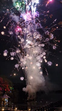 ムーミンバレーパークに投稿された画像（2024/11/17）