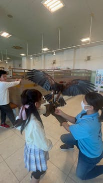 Moff animal world BIGHOPガーデンモール印西店に投稿された画像（2024/11/17）