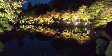 名古屋市東山動植物園に投稿された画像（2024/11/17）