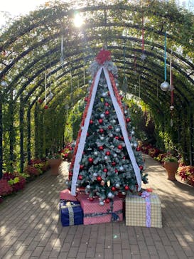 横浜イングリッシュガーデンに投稿された画像（2024/11/17）