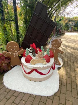 横浜イングリッシュガーデンに投稿された画像（2024/11/17）