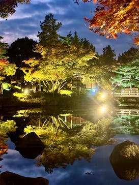 国営昭和記念公園 秋の夜散歩に投稿された画像（2024/11/17）
