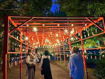 国営昭和記念公園 秋の夜散歩に投稿された画像（2024/11/17）