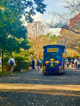 国営昭和記念公園 秋の夜散歩に投稿された画像（2024/11/17）