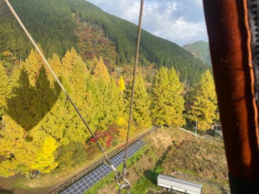 ヒートバルーン物語 昇竜会場に投稿された画像（2024/11/17）