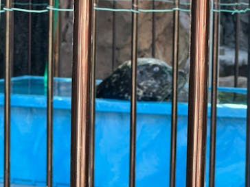 恩賜上野動物園に投稿された画像（2024/11/17）