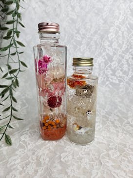 ずこうしつ〜sugamo〜に投稿された画像（2024/11/17）