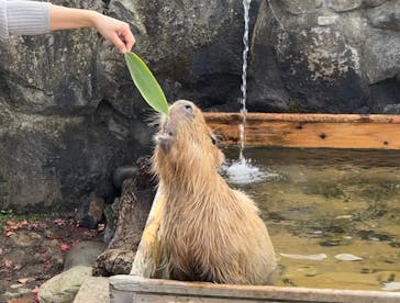 那須どうぶつ王国に投稿された画像（2024/11/17）