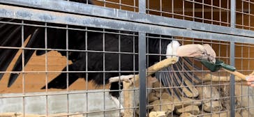 那須どうぶつ王国に投稿された画像（2024/11/17）