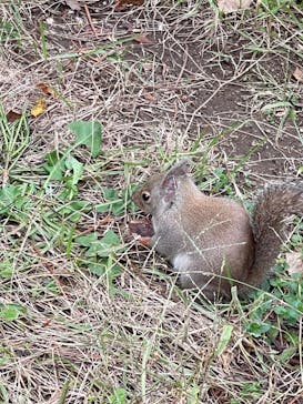 那須どうぶつ王国に投稿された画像（2024/11/17）