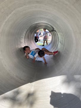 浜名湖パルパルに投稿された画像（2024/11/18）